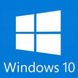 windows-10-professional